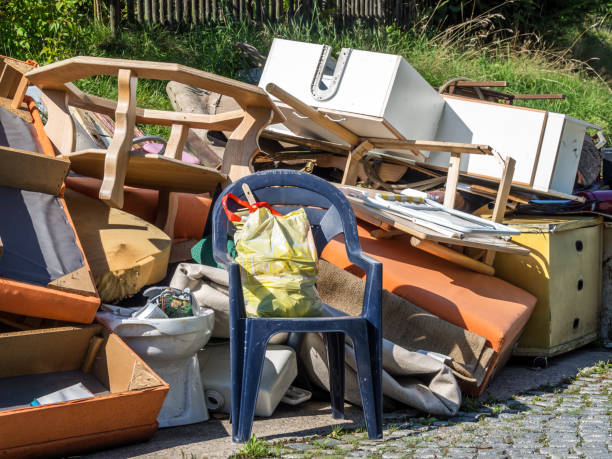 Best Basement Cleanout Services  in Lakeview, OH
