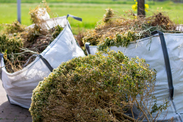 Best Junk Removal Near Me  in Lakeview, OH