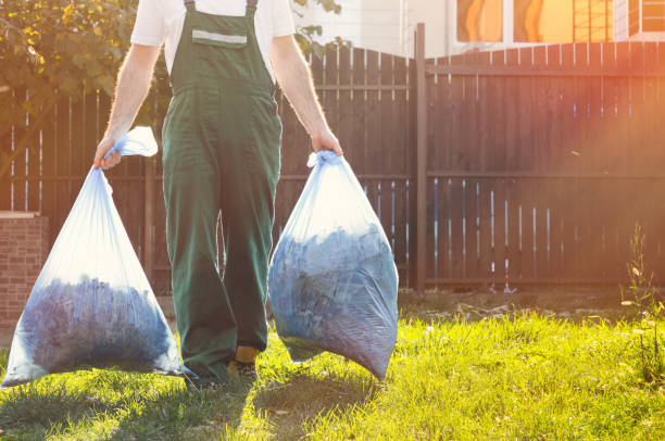 Best Residential Junk Removal  in Lakeview, OH