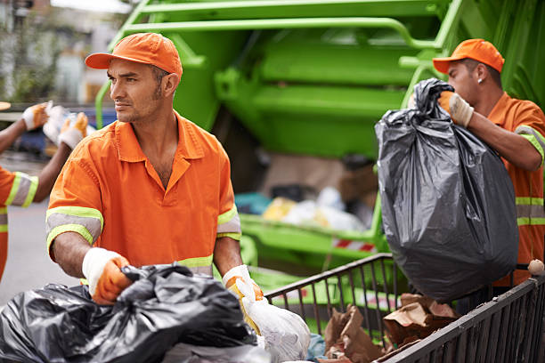 Best Household Junk Removal  in Lakeview, OH